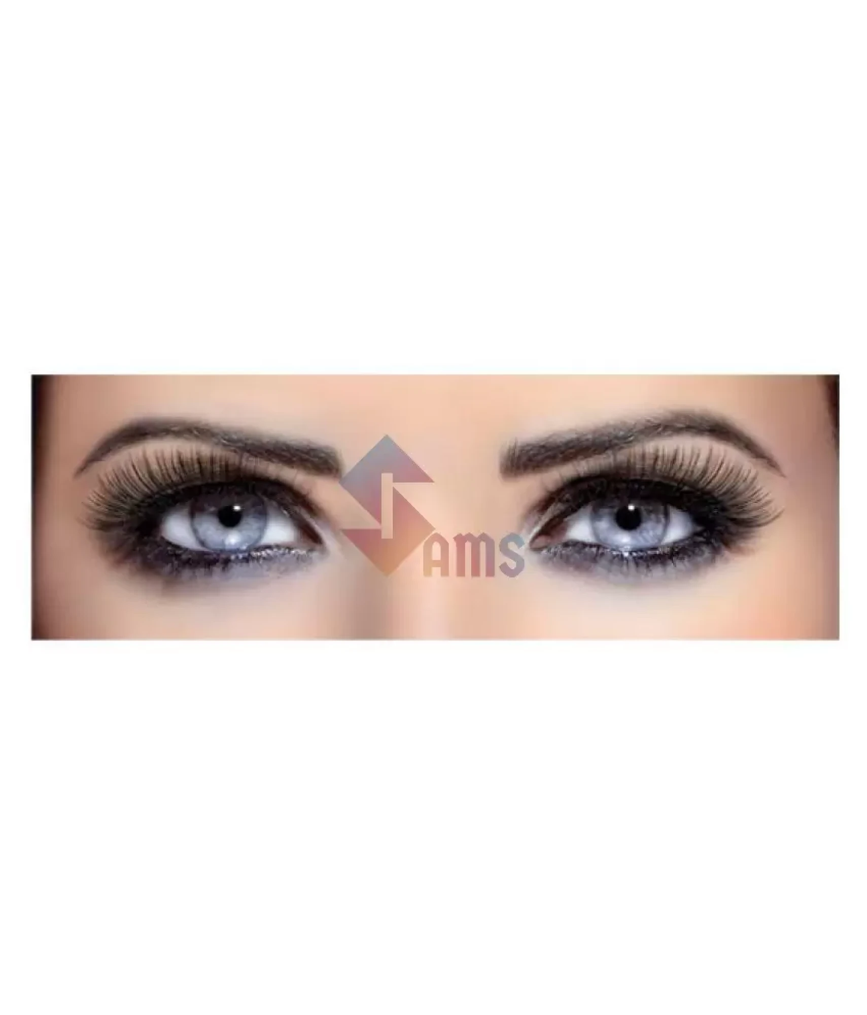 False Eye Lashes1.webp